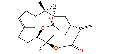 11-Episinulariolide acetate
